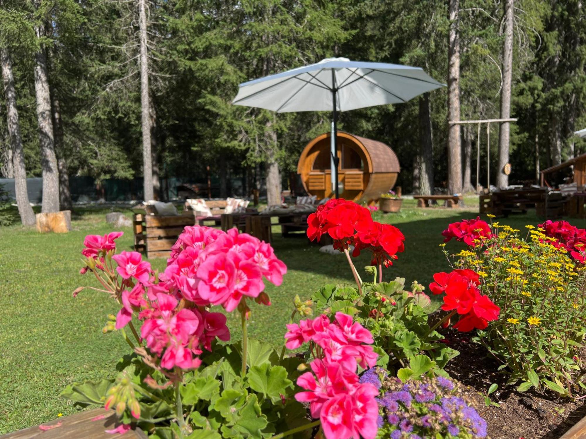 Wildhomes Wild Wolf Lodge Курмайор Екстериор снимка